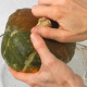 how-to-cook-a-whole-squash-in-an-instant-pot-and-in-the-oven