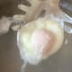 Poached eggs
