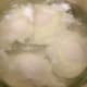 Poached eggs