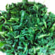 Nettles spun dry