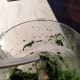 Finished pesto