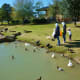 People having fun feeding the ducks