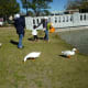 Feeding the ducks