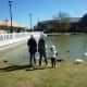 Feeding the ducks