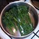 Tenderstem broccoli is blanched in boiling, salted water