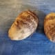 Taro root
