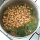 Chickpeas are added to lamb and spinach