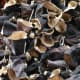 Wood ear mushrooms