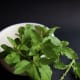 Thai basil