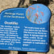 Descriptive sign in succulent garden section of Tucson Botanical Gardens