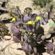 Flowers on a purple prickly pear cactus