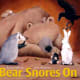 Bear Snores On by Karma Wilson
