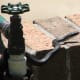 A black racer examines a green hose.