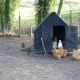 A Chicken Coop Inside A Fenced Chicken Yard