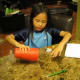 Tip: Roll the dice onto a smooth surface like a table.