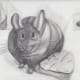 Chinchilla study