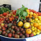 Biodynamic tomatoes