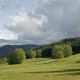 The area of Richemont in Normandy, pleasant, hilly, just like that of its namesake in England