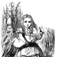 alices-animals-lewis-carroll-use-of-animals