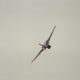 An F-111 over Andrews AFB, MD, May 1991.