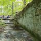 Our homeschool teen group's wilderness survival class was awesome.