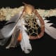 Traditional dream catcher and smudge stick.
