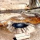 Chinaman Spring in Yellowstone