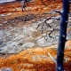 Yellowstone