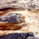Cupid Spring in Yellowstone