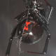 The extremely poisonous black widow.