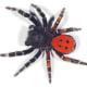 The velvet spider.