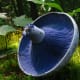 The edible indigo milk cap is from the Russula family. It is found in all kinds of woodlands in the US and Europe and is a popular food in China and Mexico.