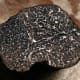 This black truffle is part of the Ascomycota Phylum.