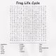 life-cycle-of-a-frog-lesson-plan-for-elementary-students