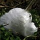 10-of-the-most-rare-phenomena-on-earth