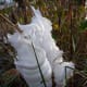 10-of-the-most-rare-phenomena-on-earth