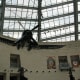 Head on view of a Corsair at the Marine Corps Museum, Quantico, Virginia.