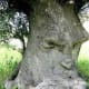 exploring-the-archetypal-meaning-of-green-man