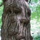 exploring-the-archetypal-meaning-of-green-man