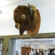 Buffalo Soldiers National Museum looking towards gift shop