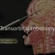 mental-illness-part-two-history-and-treatments-from-20th-century-and-today