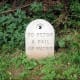 the-curious-origins-of-nursery-rhymes-jack-and-jill