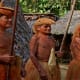 the-amazon-river-life-blood-of-the-rainforest