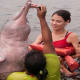 the-amazon-river-life-blood-of-the-rainforest