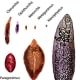 Types of flukes