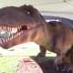 A foreshortened view of a juvenile Tyrannosaurus rex with hair-like fibres on its body and its mouth open during animation
