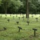 The Nameless Cemetery Letchworth Village Abandoned Insane Asylums