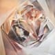 lowbrow-art-the-5-most-incredible-artists-right-now