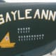 A Commemorative Air Force Stinson L-5 Sentinel with the markings of "Gayle Ann". The original Gayle Ann sank a Japanese boat with submachine gunfire and grenades. The other symbols represent Forward Air Control missions flown.