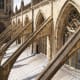 Buttress